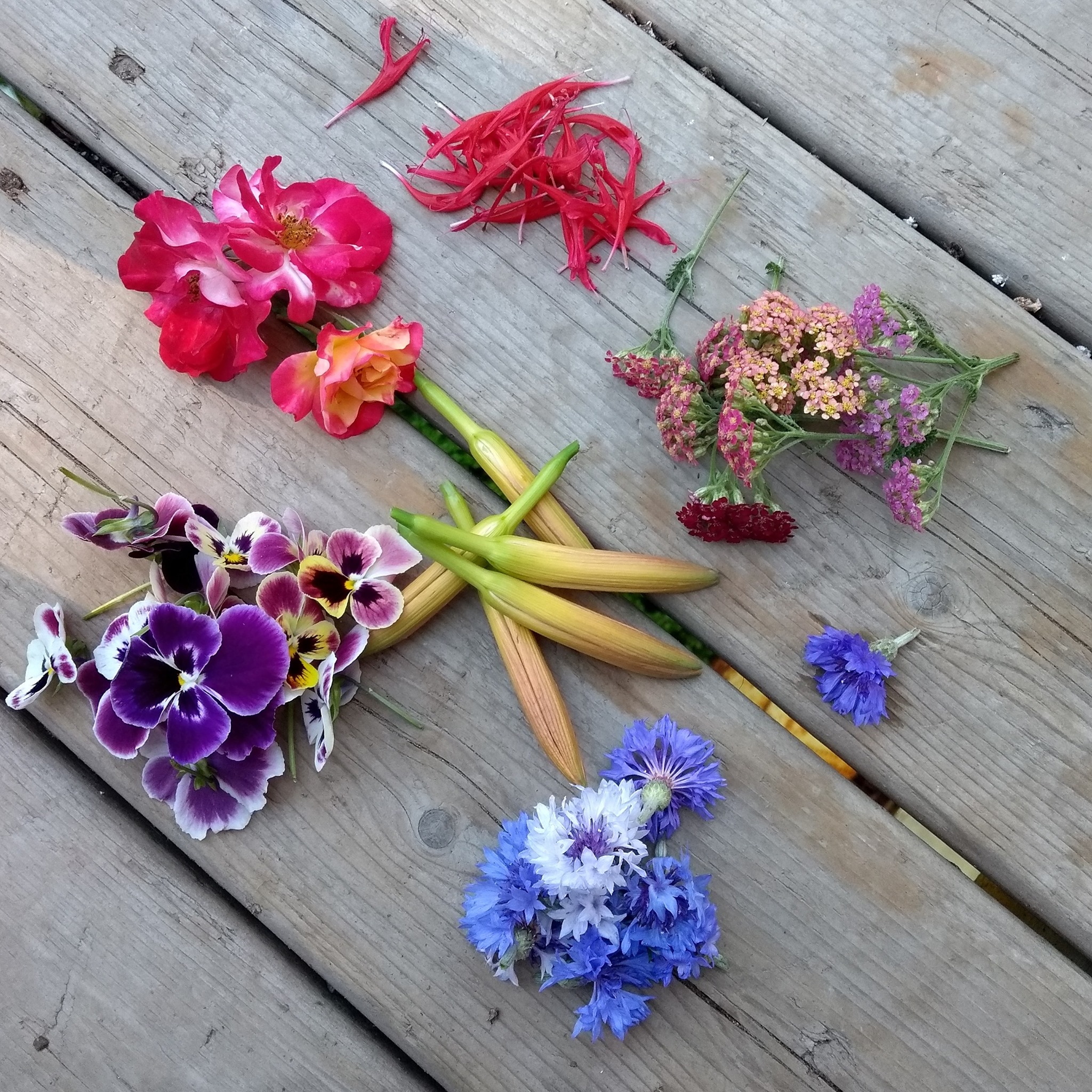 Edible Flowers