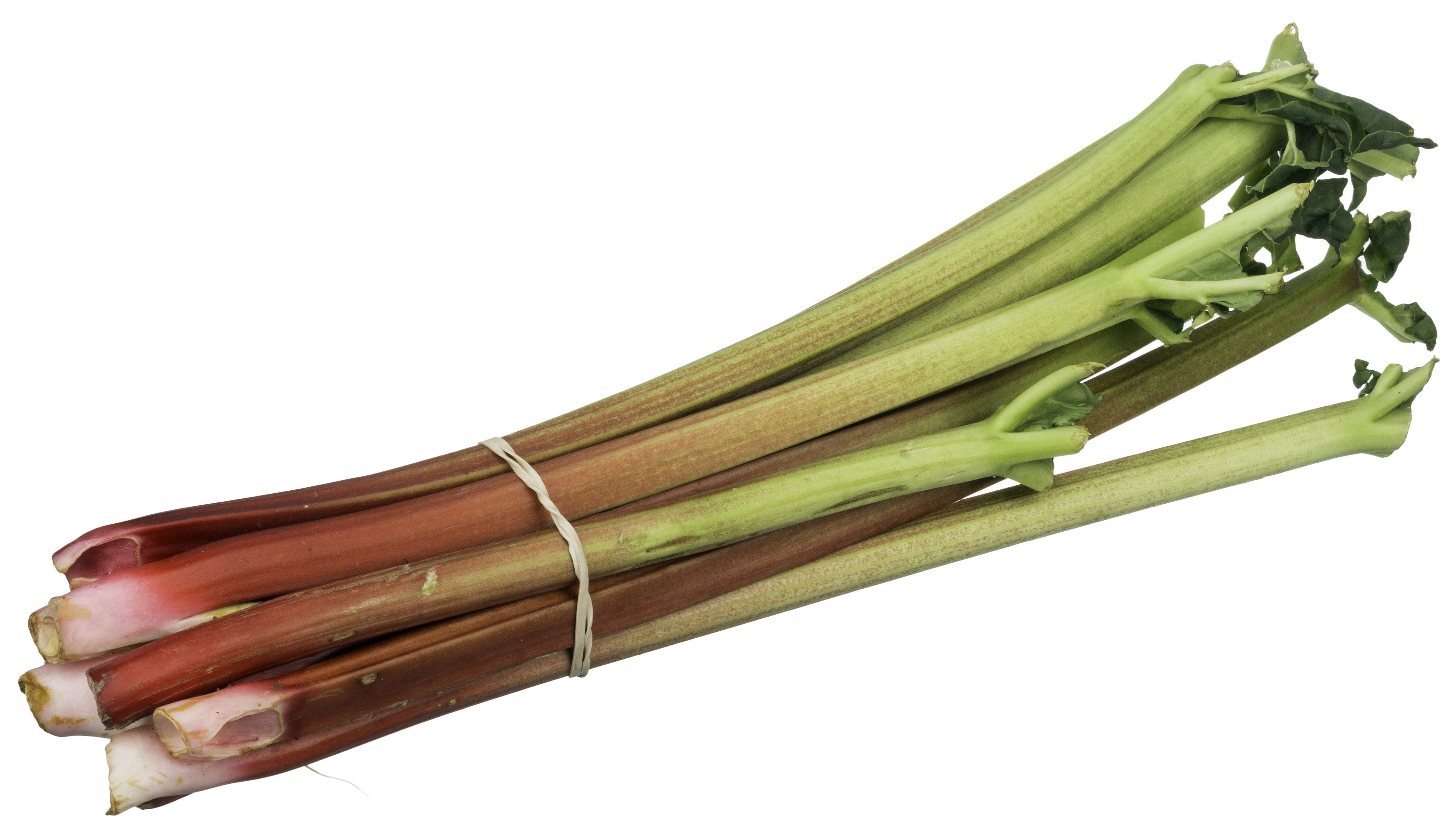 Rhubarb