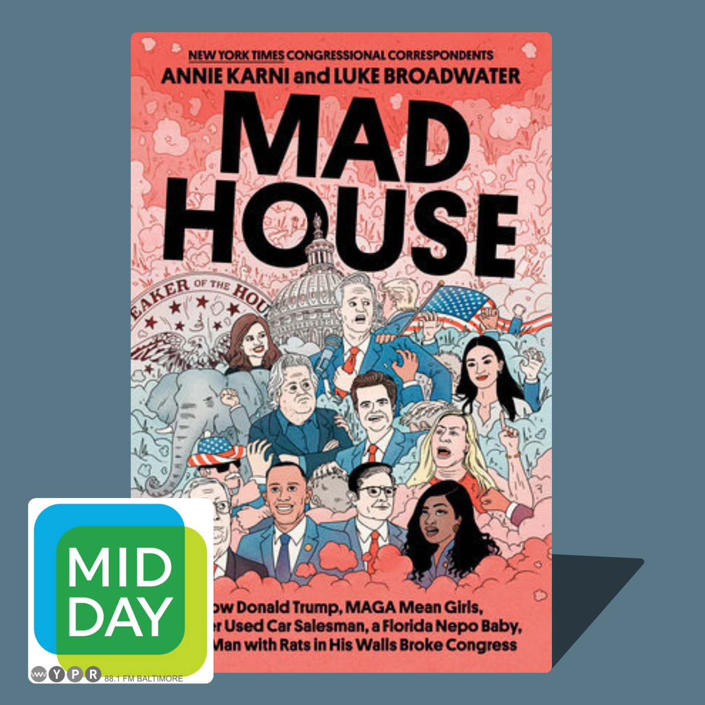 A glimpse into the chaos of U.S. Congress in new book, 'Mad House'