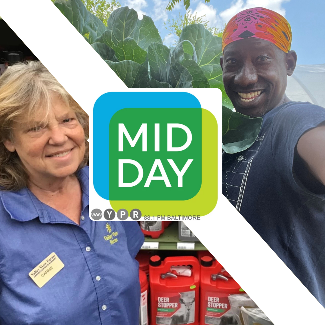 Calling all gardeners and farmers! Midday goes back to the garden