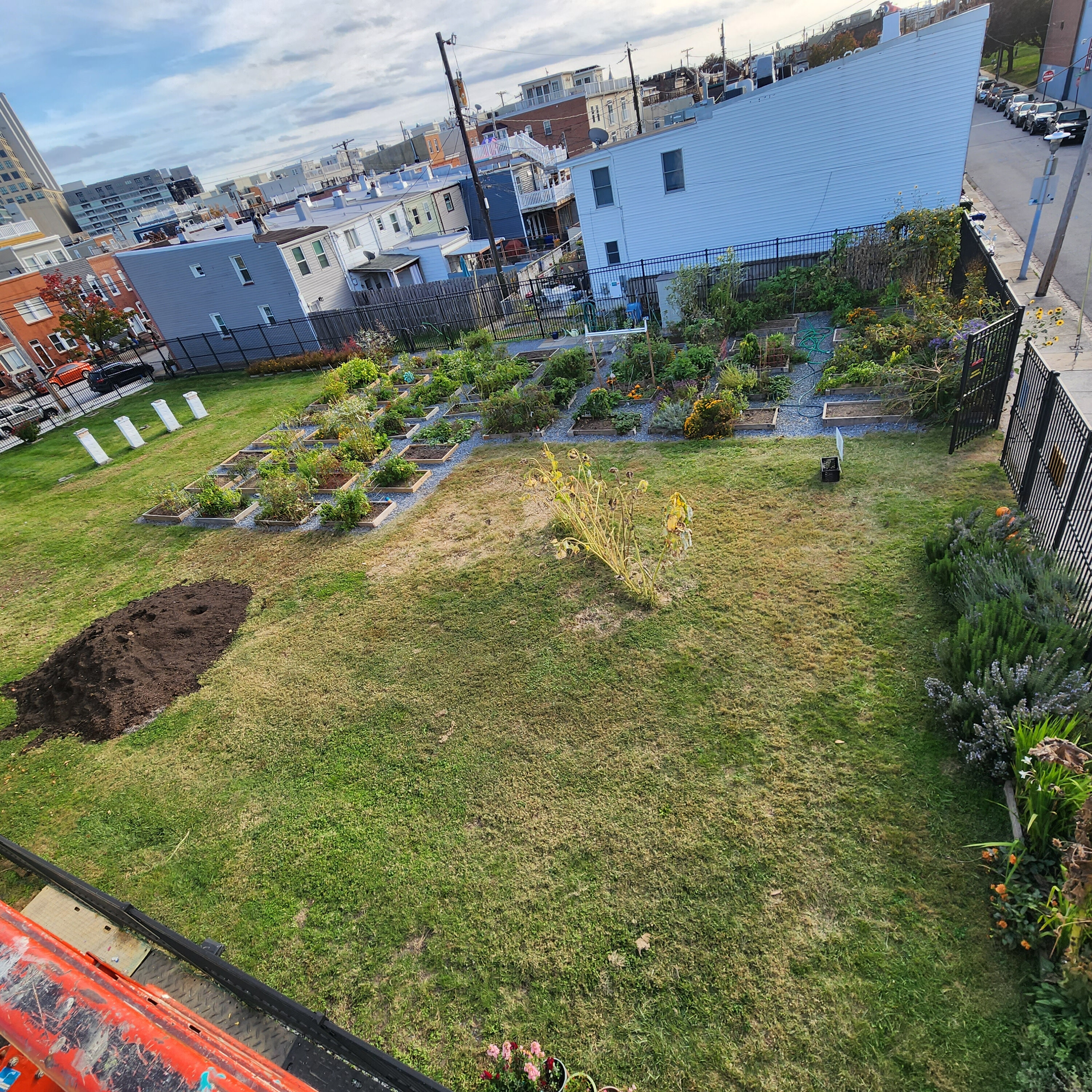 Midday in the Neighborhood: Locust Point Community Garden