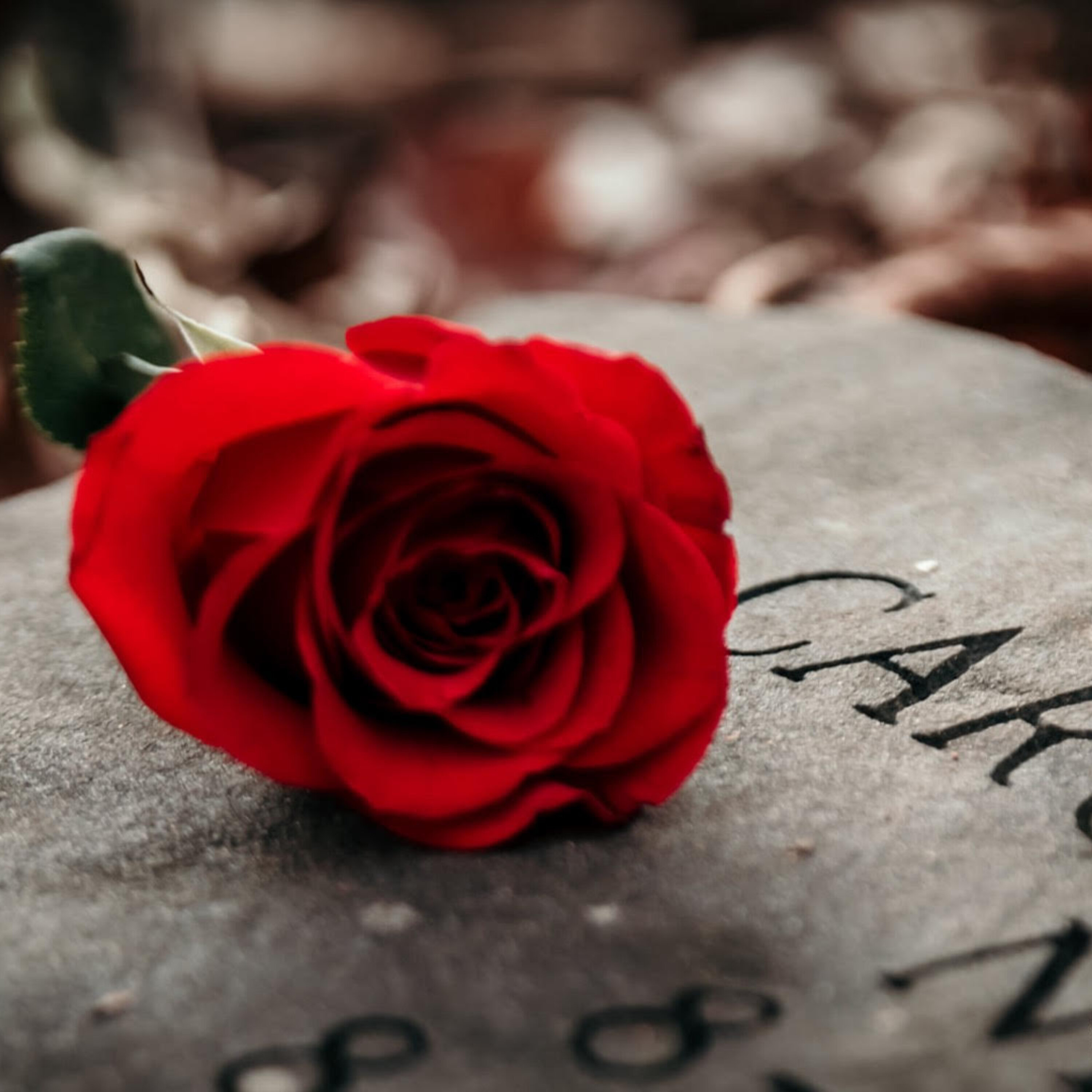 Green burials: The growing appeal of new Earth-conscious interment