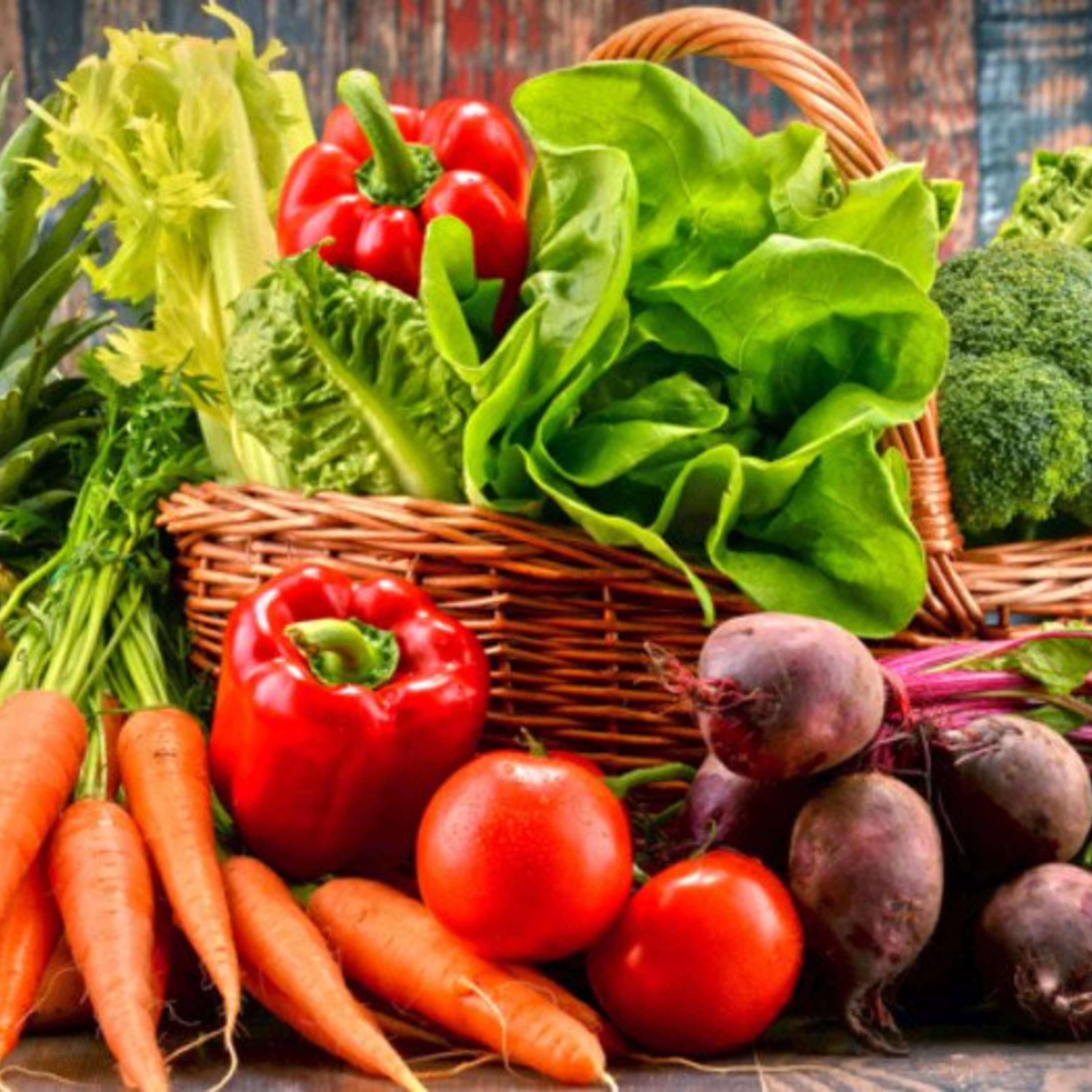 Back to the Garden: Our Summer Guide to Plant and Garden Care